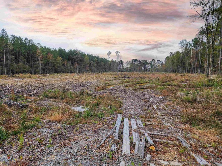 This listing is for Two - Two and one half Acre lots on Landing St. in Calion, AR. The Listing Price is for two and one half acres only.