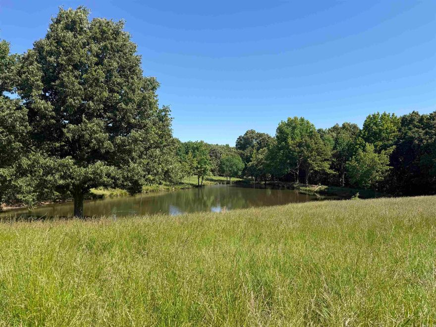 20-Acres of pasture and woods with a big pond. Just of CR 450 in Piggott.