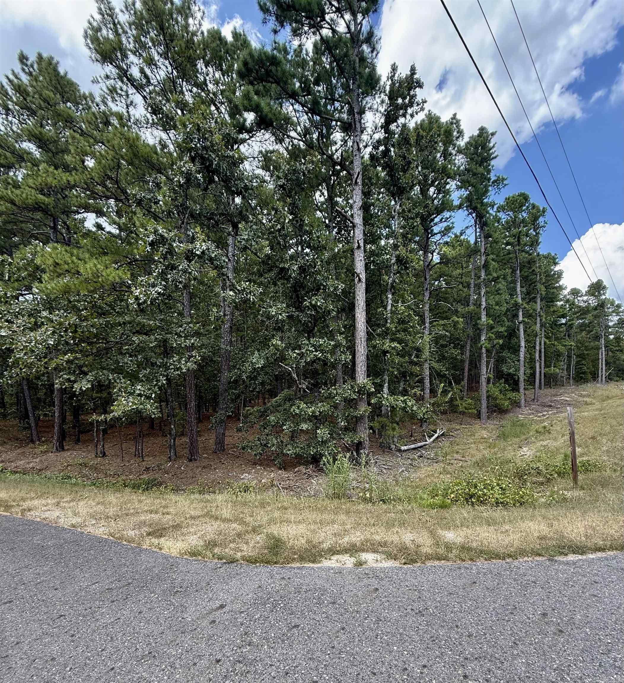 Large Corner Lot that is perfect lot to build your dream home! This elevated, flat lot is wooded and an ideal setting for a home. Surrounded by natural beauty and frequent visits from local wildlife, youāll enjoy the peace and quiet of Arkansas living while still being close to everything Hot Springs Village has to offer. Property Highlights: *Flat, buildable wooded lot *Peaceful setting *Perfect for a retirement or family home Access to all Hot Springs Village amenities including golf courses, lakes, trails, fitness centers, and more! Donāt miss the opportunity to secure your own piece of Hot Springs Village and design the lifestyle youāve always imagined.