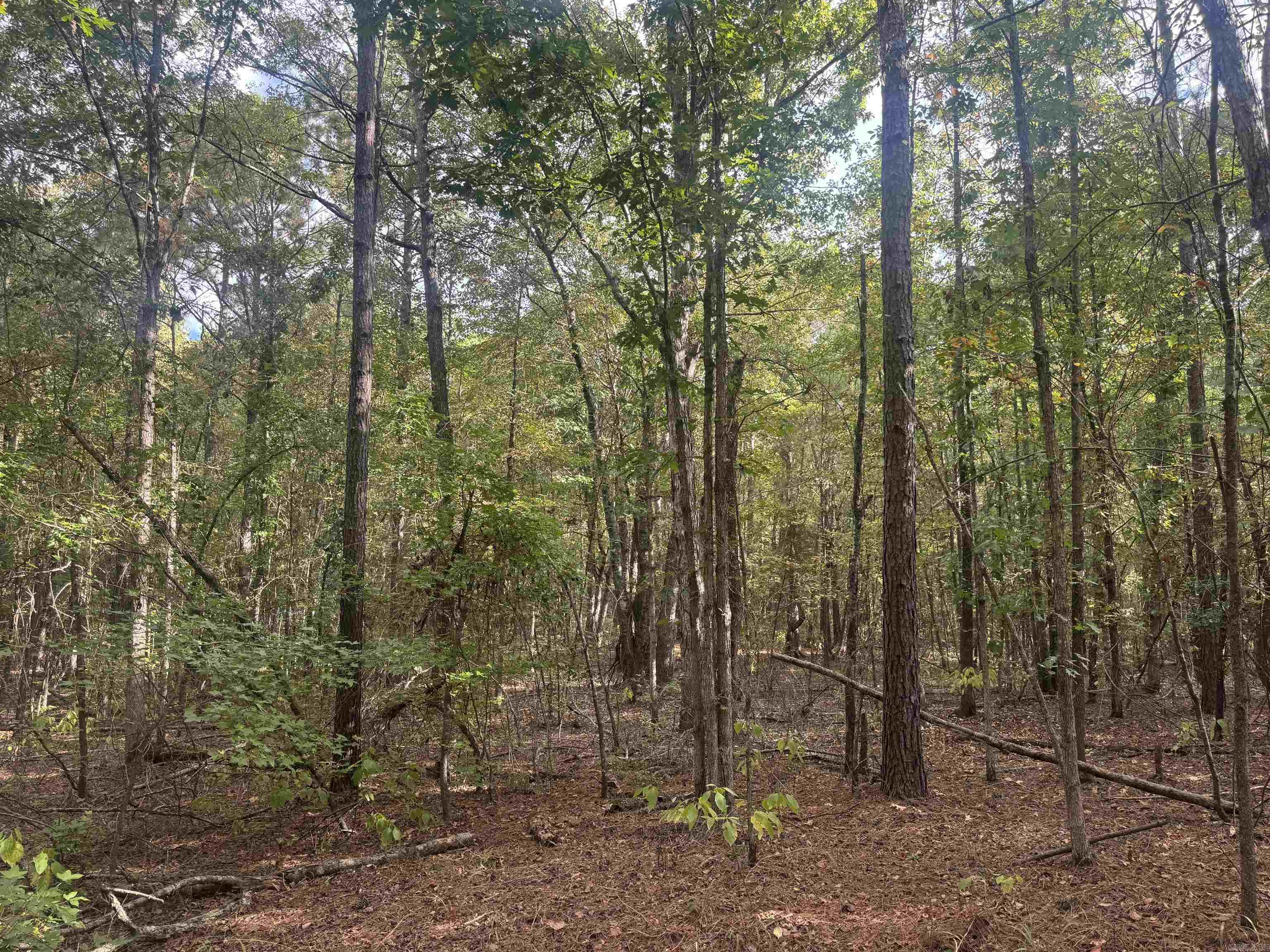 Not in Subdivision - Land