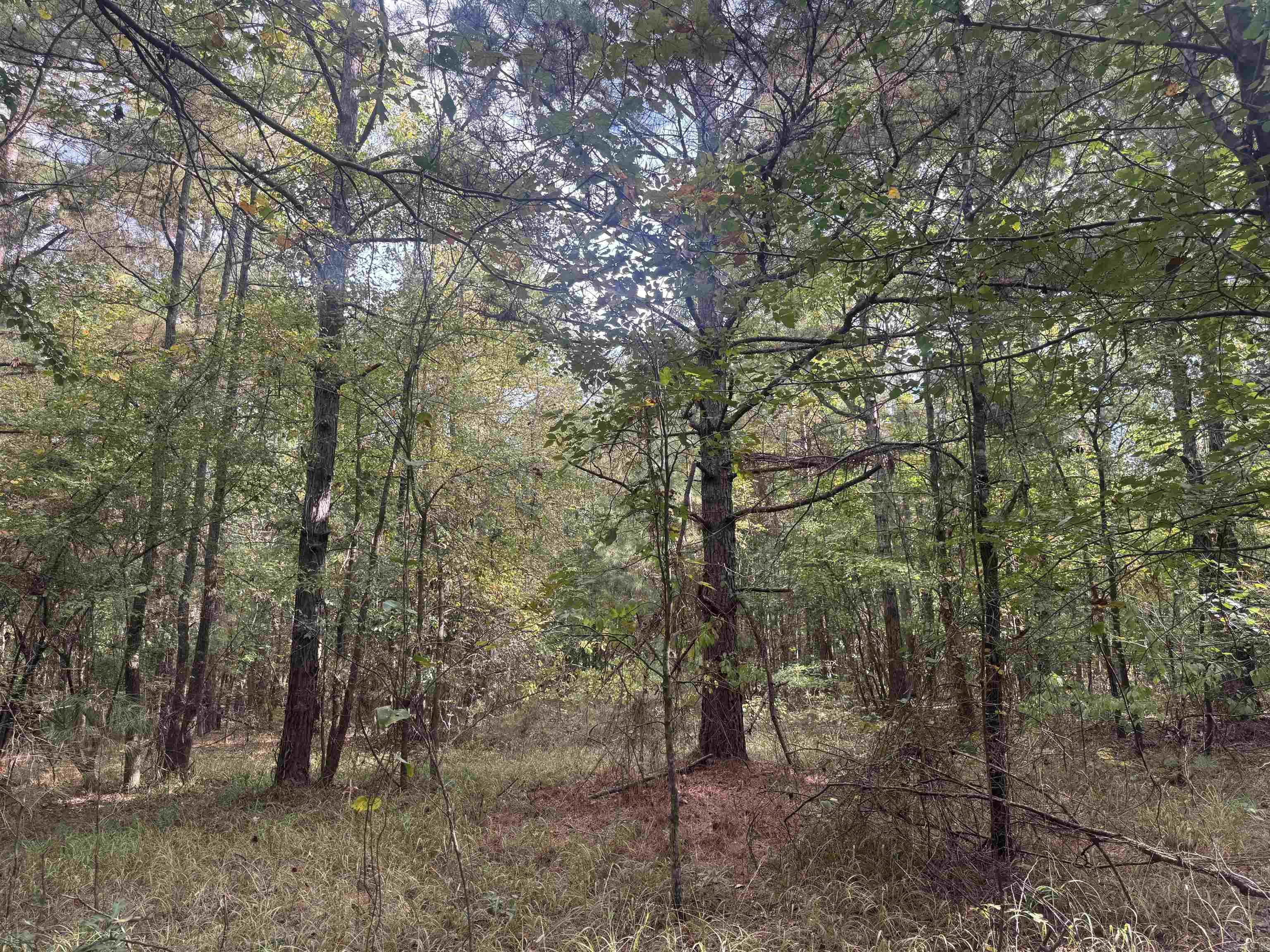 Not in Subdivision - Land