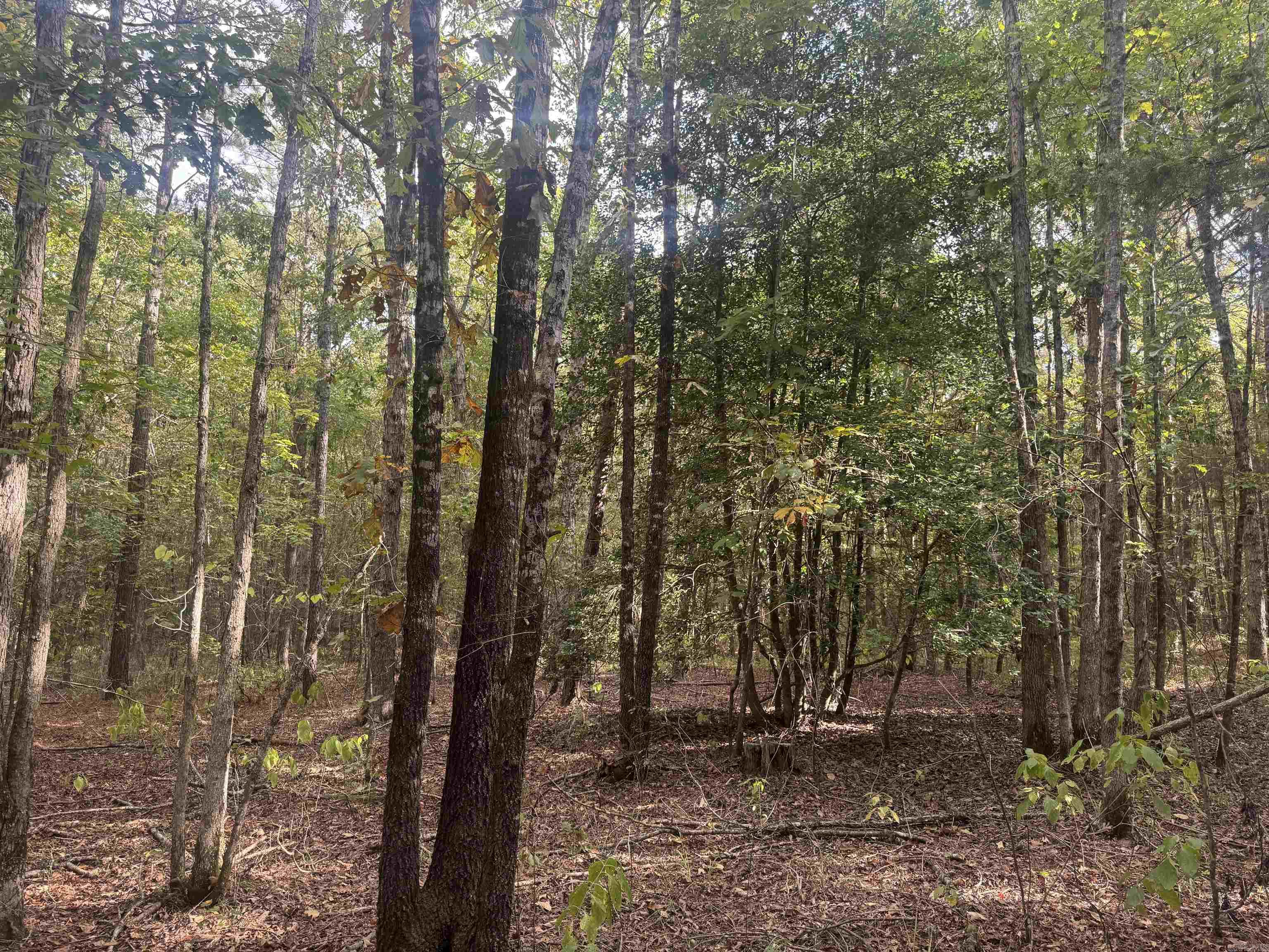 Not in Subdivision - Land