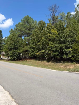 15 ELCANO DR, HOT SPRINGS VILLAGE, AR 71909 - Image 488d24e7dcbc6bebfe3d4e10127820b9/860430341