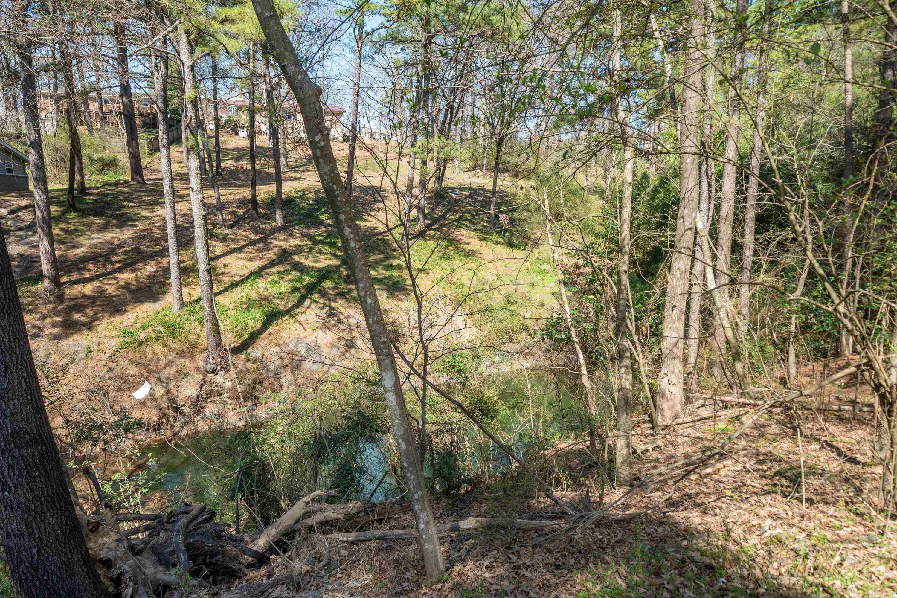 CHAPPELL HILL RESURVEY - Residential