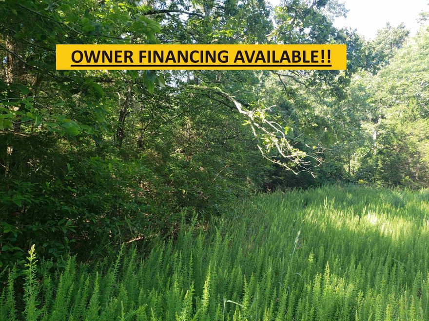 Here is a wonderful, Super-Secluded, wooded lot in the Fulton County side of the Cherokee Village. Great location near Lake Omaha and the Omaha Center and not far from the South golf course as well. With this lot comes access to all the amenities of Cherokee Village such as the seven lakes, the Southfork river and Two 18-hole golf courses. Don't miss your opportunity to own your own little slice of "Heaven on Earth" in beautiful Cherokee Village. Come for a visit and stay for a lifetime.       This lot is 1 of 7 that can be purchased individually for $2500.00, or  purchase all 7 as a package deal for a discounted price of $2136.00 each. ------See Agents Remarks for information on the other 6 lots------   Owner financing is possible with acceptable down payment and terms.  Owners are also open to possible trades.