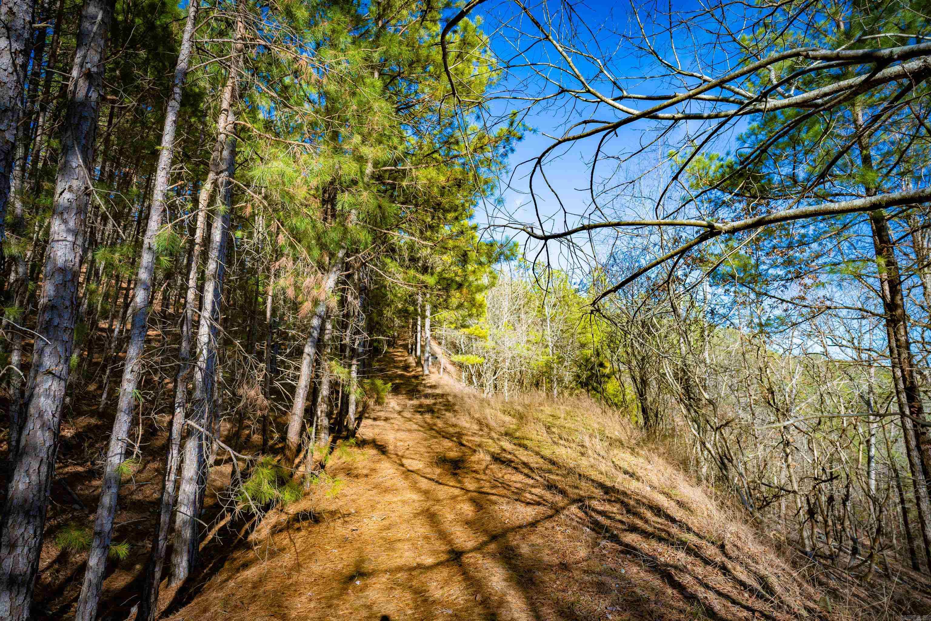 Metes & Bounds - Land