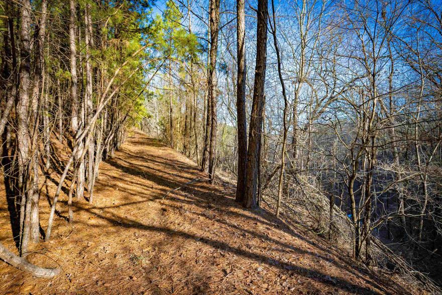 Discover 31.89 +/- stunning, wooded acres in Pulaski County offering exceptional privacy and natural beauty.  With no restrictions, this rare property provides the freedom to build multiple homes, create a private family compound or design your dream estate.  A well is already on the property and the mature trees create a peaceful, secluded setting.  This is the perfect opportunity to own land with unlimited potential in a beautiful Arkansas location.