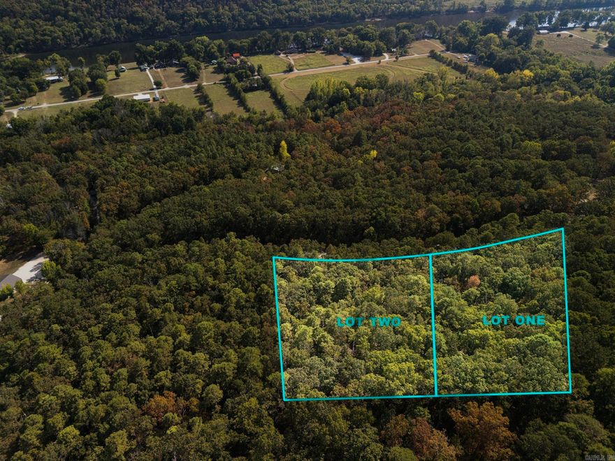 Out of the Flood zone, but still in the fog!!!! Choice of these 2 lots for $89,500 or both for $179,000! Red's Landing public boat launch is less than 1/2 mile away! Beautiful building spots for your dream home are right here! Mix of hardwoods with some pine trees. Beautiful Ozark property!