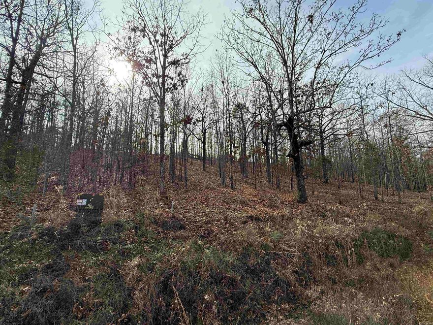 Welcome to Mountain Ranch Estates! This is a private gated community with large lots for all property owners. Tract 93 is within the Cabot School District. Approx 20 minutes from Cabot High School and only a few minutes from 67/167. Come checkout Mtn Ranch Estates gated community! This lot has Water, Electric, Gas & Fiber internet. This lot has a mild slope and will provide a convenient location for easy access in and out of the neighborhood either via the Bailey Rd East side entrance or out the Main gate at the North entrance onto Lewisburg Rd.  This neighborhood boasts privacy, community, & a private lake too! Come visit today! See Agent Remarks.