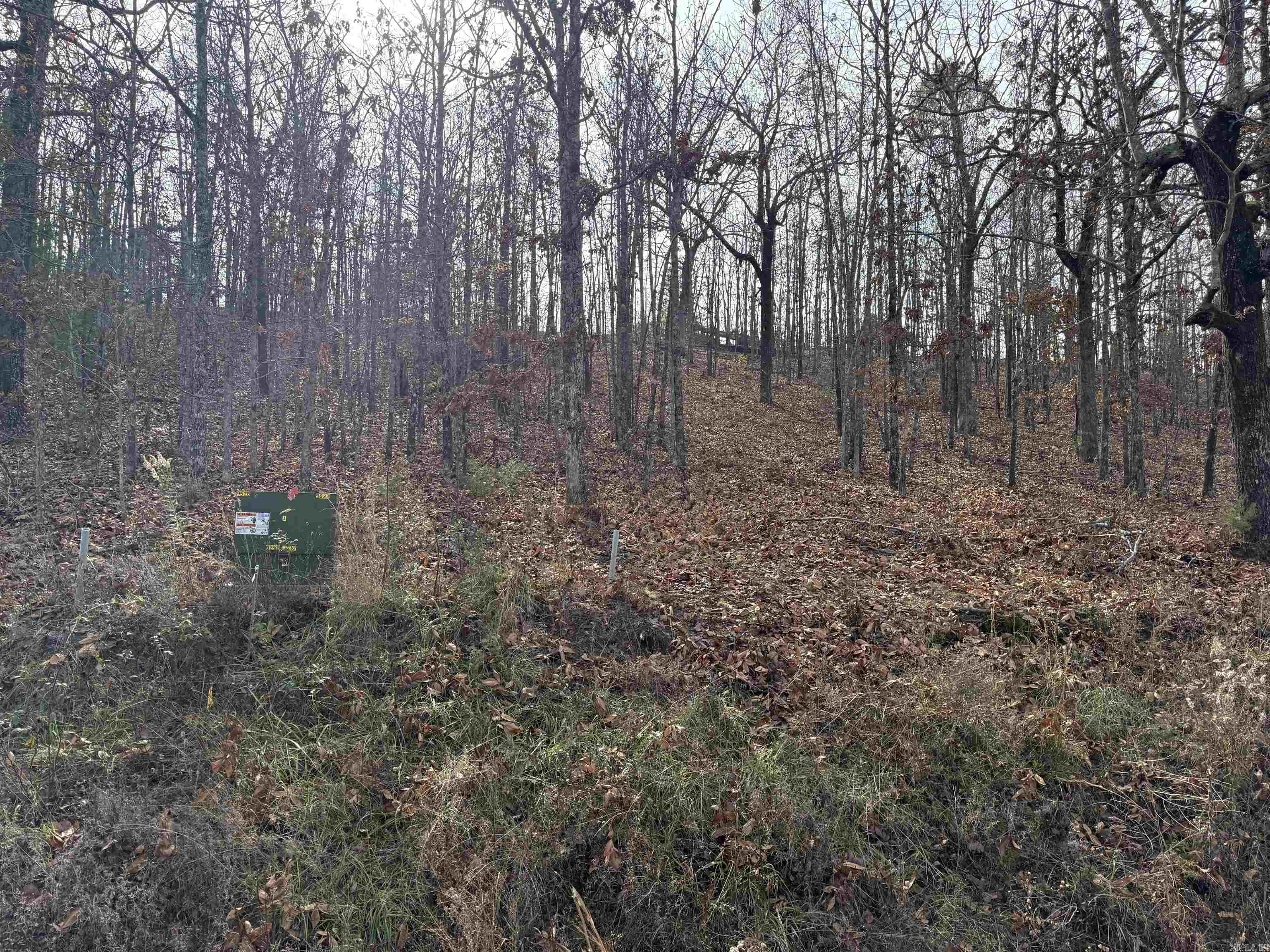 Mountain Ranch Estates - Land