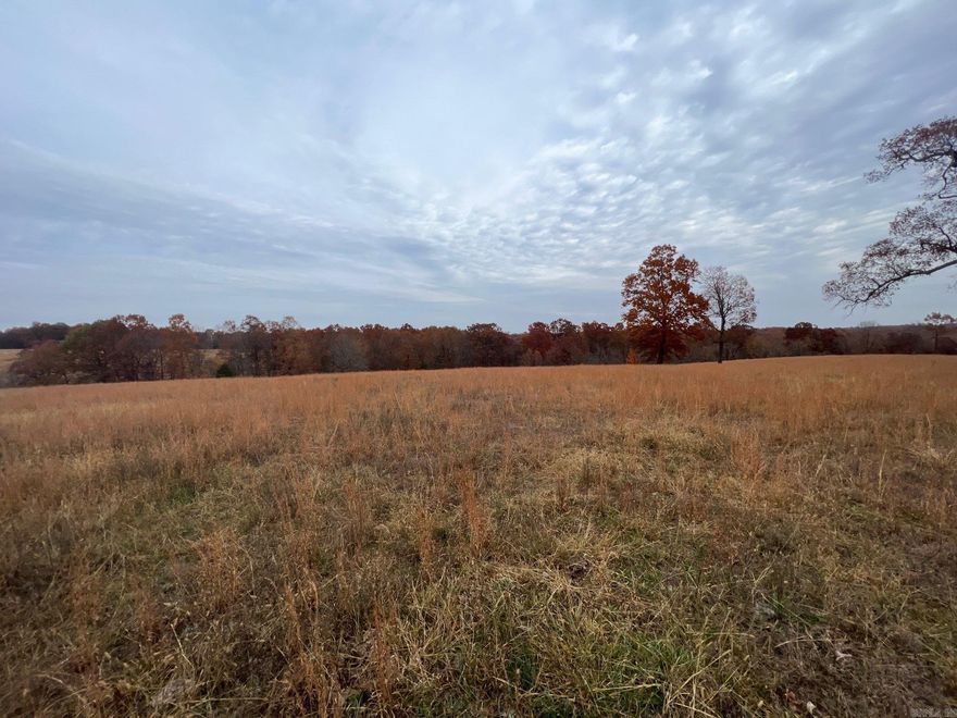 Ozarks recreational acreage for sale. The property is located on Banks Road, Hardy, AR. Owner/Broker