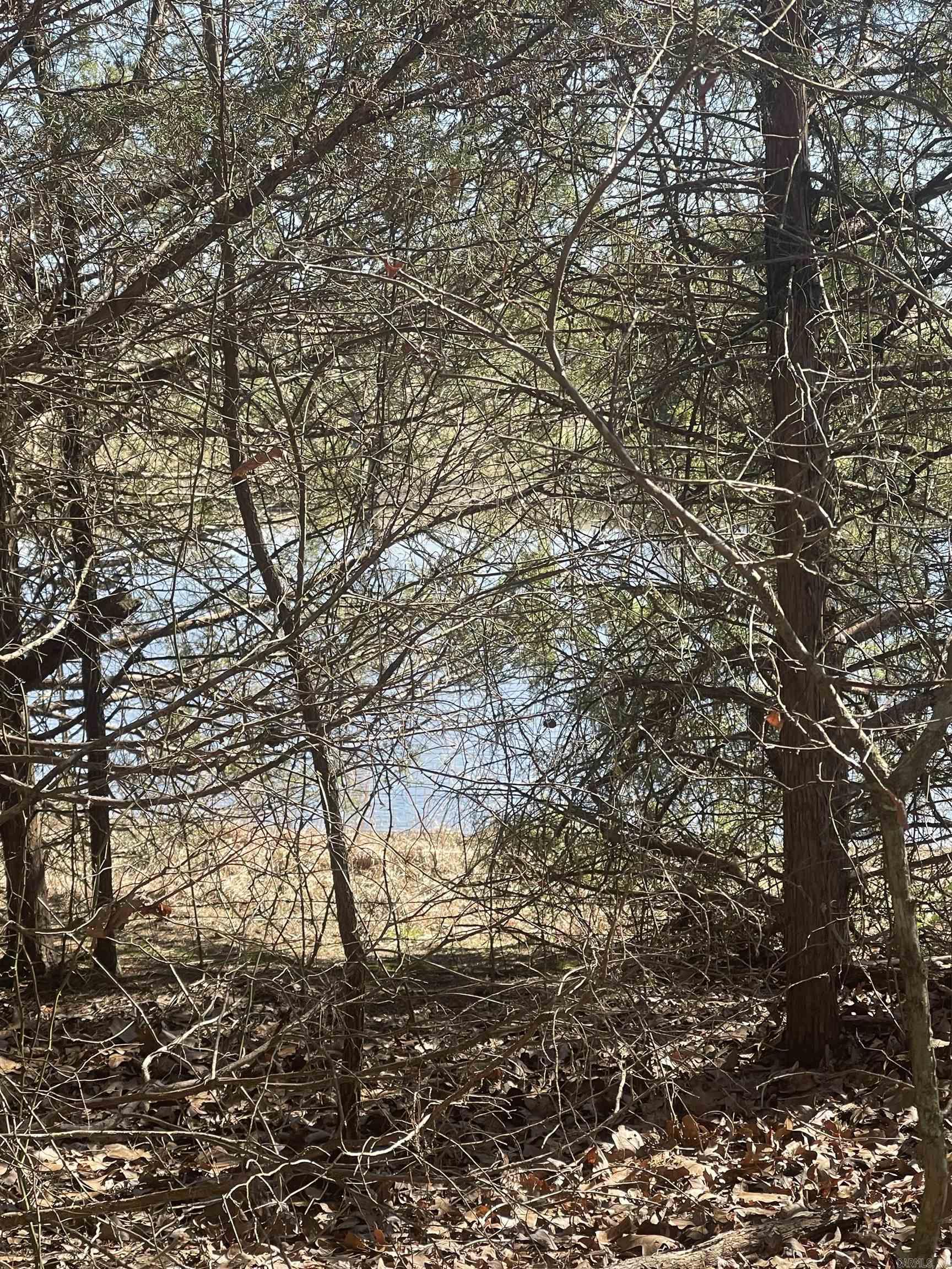 Discover the perfect blend of privacy and potential on this beautiful 5-acre wooded parcel. Tucked away in a peaceful setting, this property offers endless opportunities—whether you’re looking to build your dream home, create a weekend retreat, or simply invest in land for the future. Enjoy the natural beauty of mature trees, abundant wildlife, and the tranquility that only wooded acreage can provide. With plenty of space to design your own vision, this is a rare chance to own a sizable piece of land and make it your own.