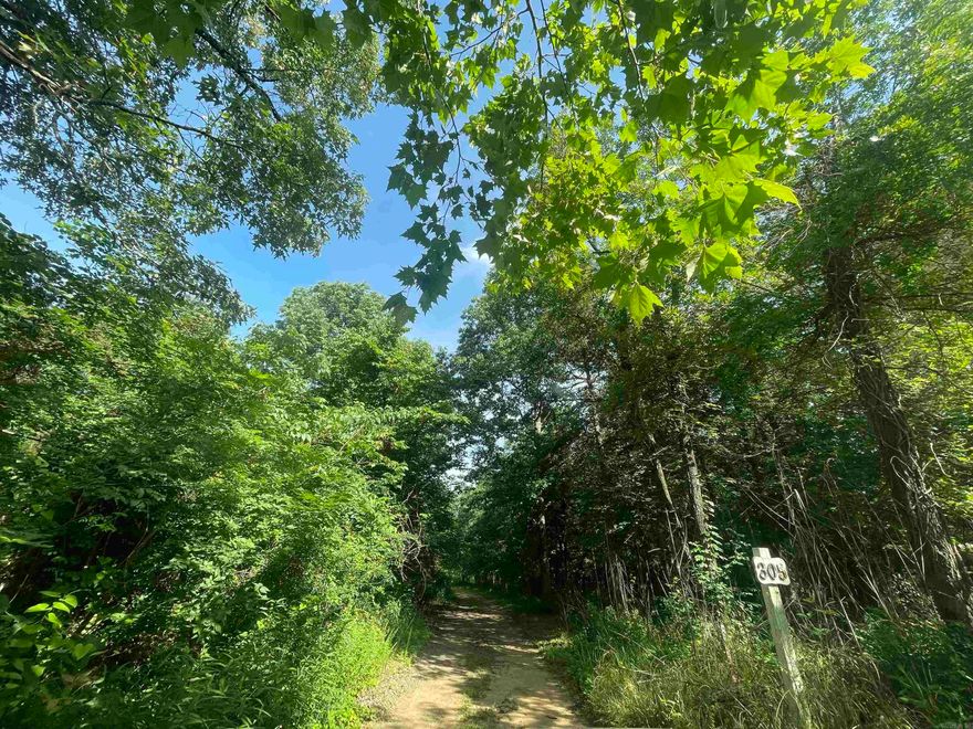 Are you looking for a quiet, peaceful, self-sustaining place to call home? Maybe you're looking for a passive income opportunity? Well, look no further! As this 6.03 acres - North of Dover - of pure bliss allows both! With options of gathering water from the 2 natural springs that come out of the ground, a beautiful natural creek across the front of the property entrance, as well as well water hook-up, you could choose to go completely off grid or continue using city water. This property contains 2 mobile homes on site that convey at no value. These homes can be remodeled or left the same with a few updates and rented out for $450-$500+ per month.