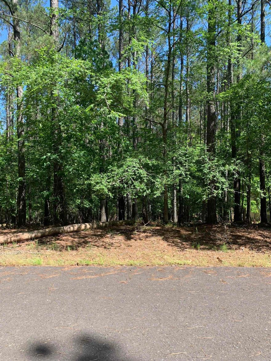 Beautiful Buildable Lot on the East Side! Right down the road from Granada Golf Course and Granada Club House. Do not miss out on this rare lot that is finally available after 25 years with the same owner. The nation's largest gated community offers 9 beautiful golf courses, 11 recreational lakes with over 30 miles of trails for walking and hiking! New buyers to the Village have a $300.00 buy in fee payable to the POA at closing.