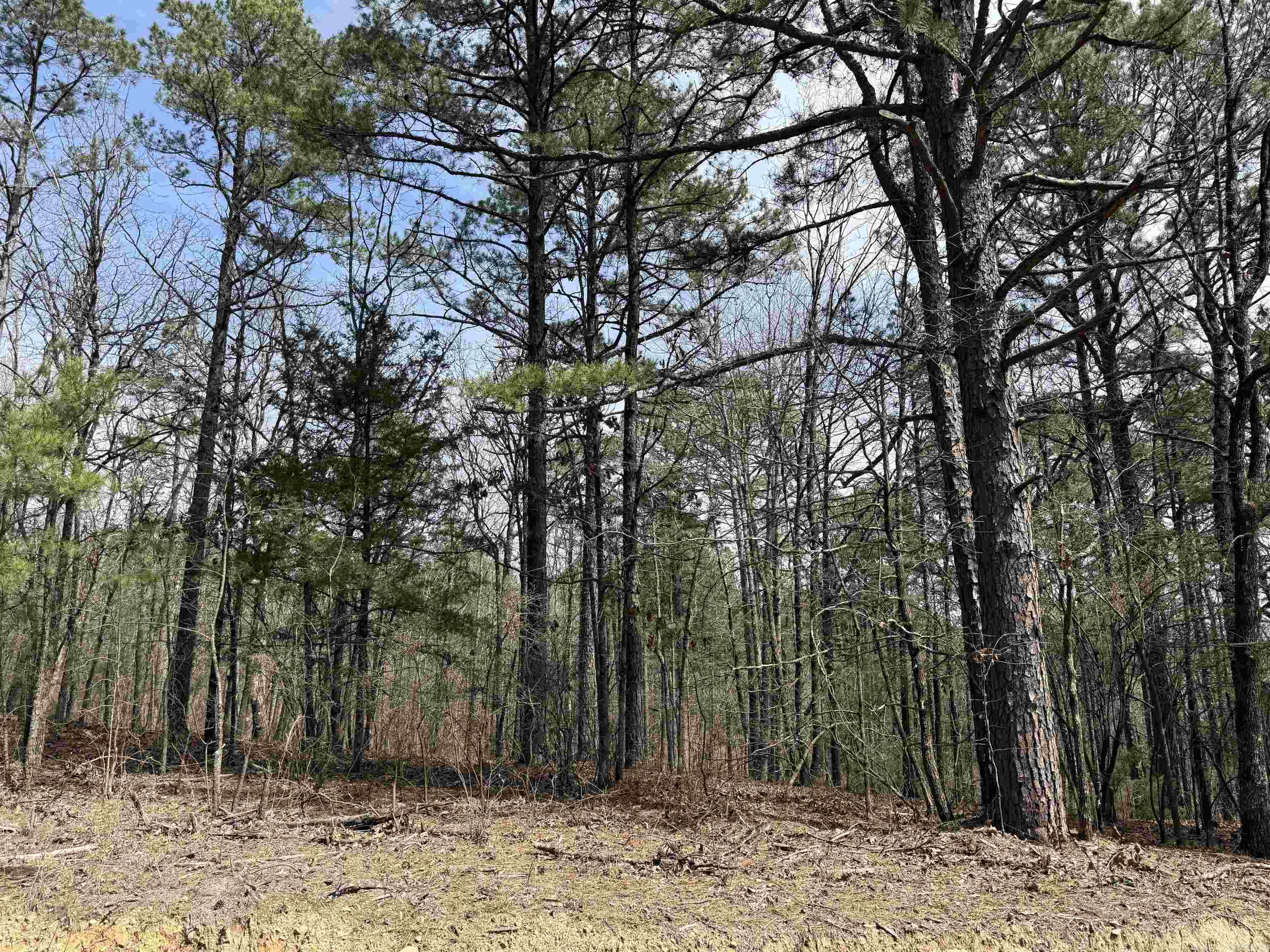 Metes & Bounds - Land