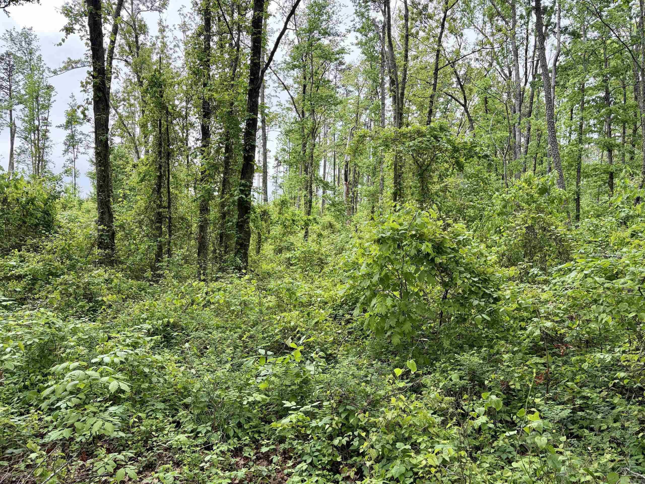 Not in Subdivision - Land