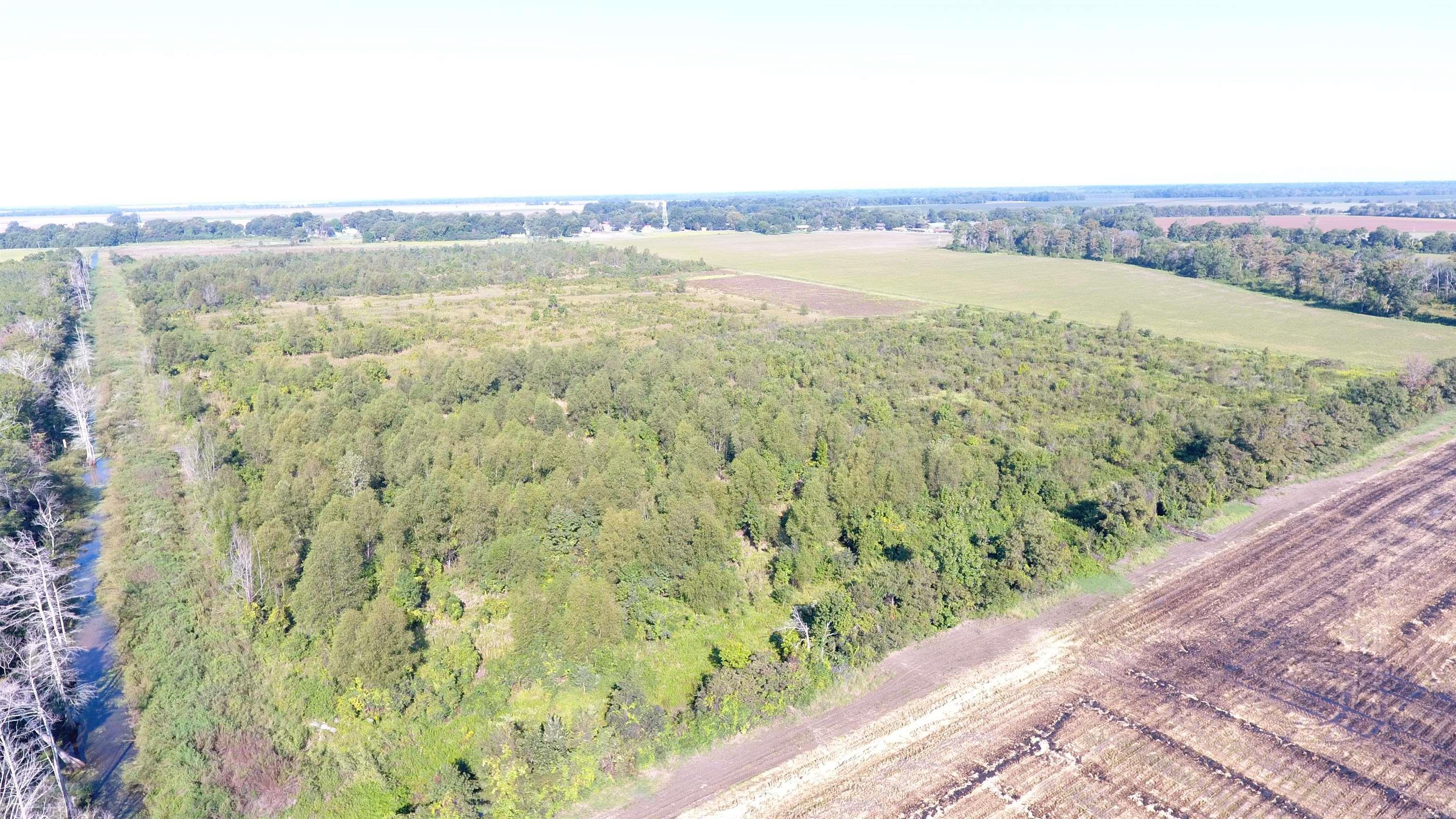 This 72-acre hunting property is a prime spot for both deer and duck enthusiasts. Surrounded by a levee on three sides, it offers excellent opportunities for managing water levels and creating ideal hunting conditions. The property needs the installation of two water structure pipes to effectively manage water levels during flooding, allowing for optimal duck habitat. The large levee along the bottom of the property is a hotspot for deer, with abundant signs of activity throughout. It presents a great opportunity for placing deer stands along the back levee, and with the addition of food plots, this area could become a prime deer hunting spot. Fo duck hunters, the property has several areas that could be mulched and developed into duck holes, creating ideal feeding and resting spots for waterfowl. The drivable levee running through the middle of the property would make an excellent location for a pit blind, providing easy access and a strategic vantage point for hunting. Additionally, a large drainage canal at the bottom of the property allows for the potential to relift water, making it easier to flood designated areas for duck hunting.