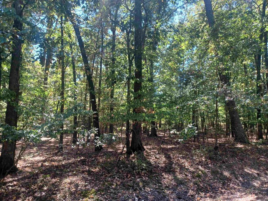 Nice flat lot in Lake Cortez Neighborhood. 10 Zafiro also for sale. Hot Springs Village the nation's largest gated community offers 9 beautiful golf courses, 11 recreational lakes with over 30 miles of trails for walking and hiking! New buyers to the Village have a $250.00 buy in fee payable to the POA at closing.