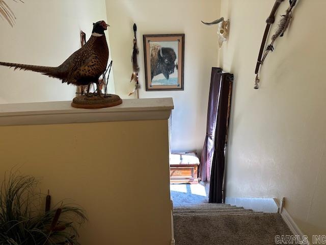 Lakewood Hills Condo - Residential