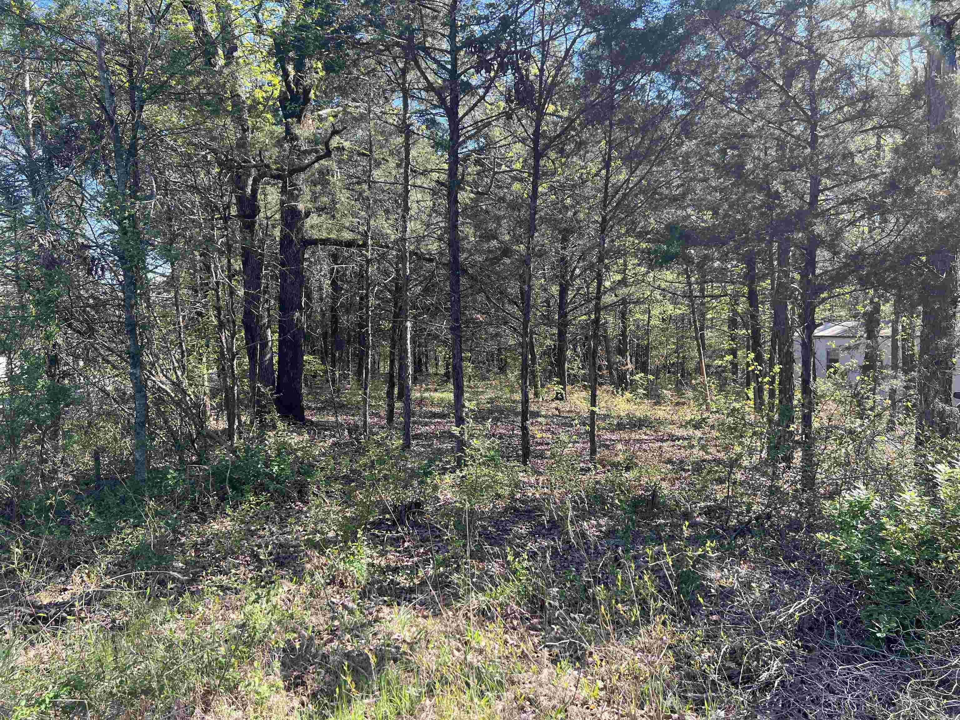 Fox Chase - Residential