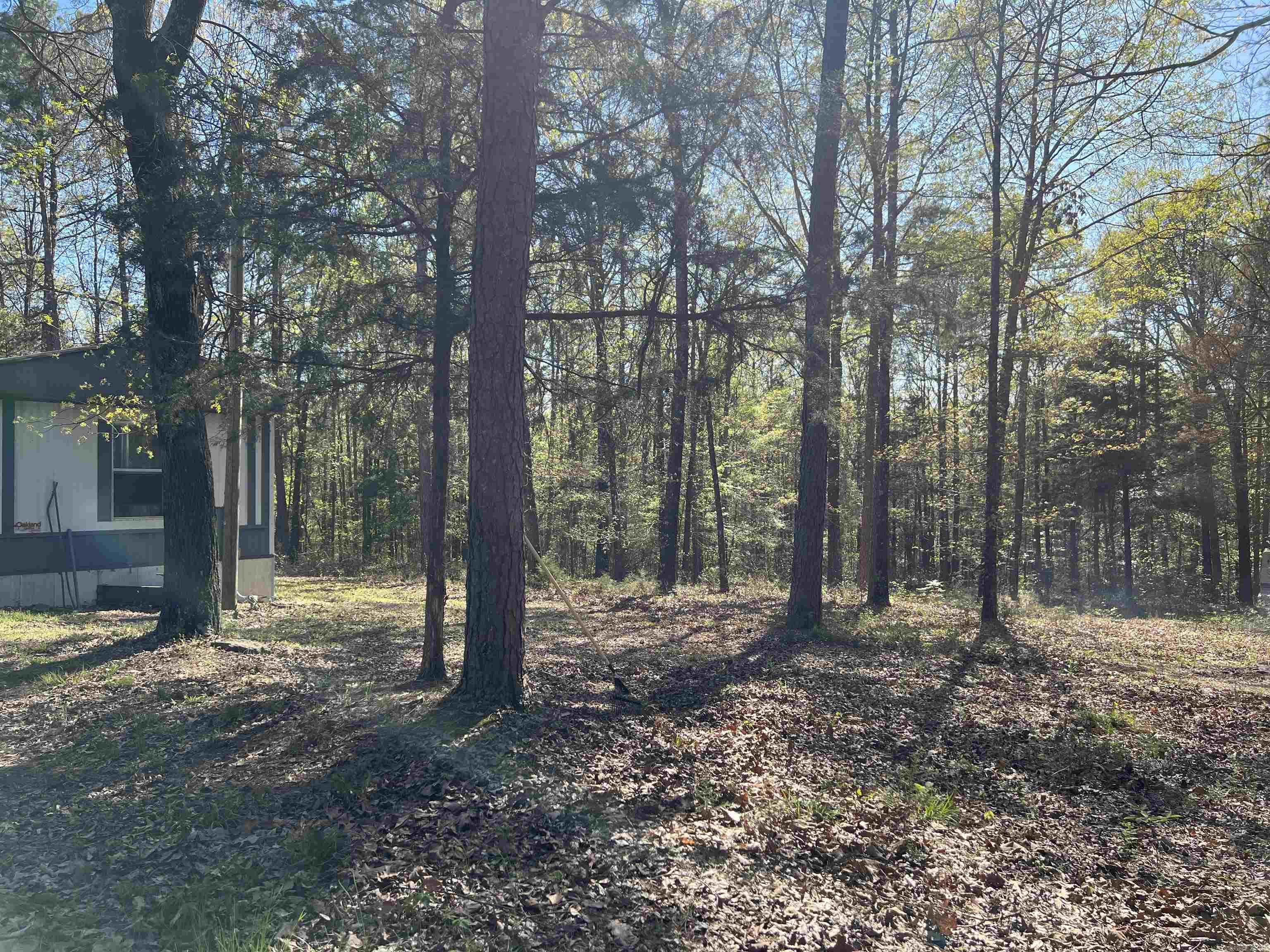 Fox Chase - Residential