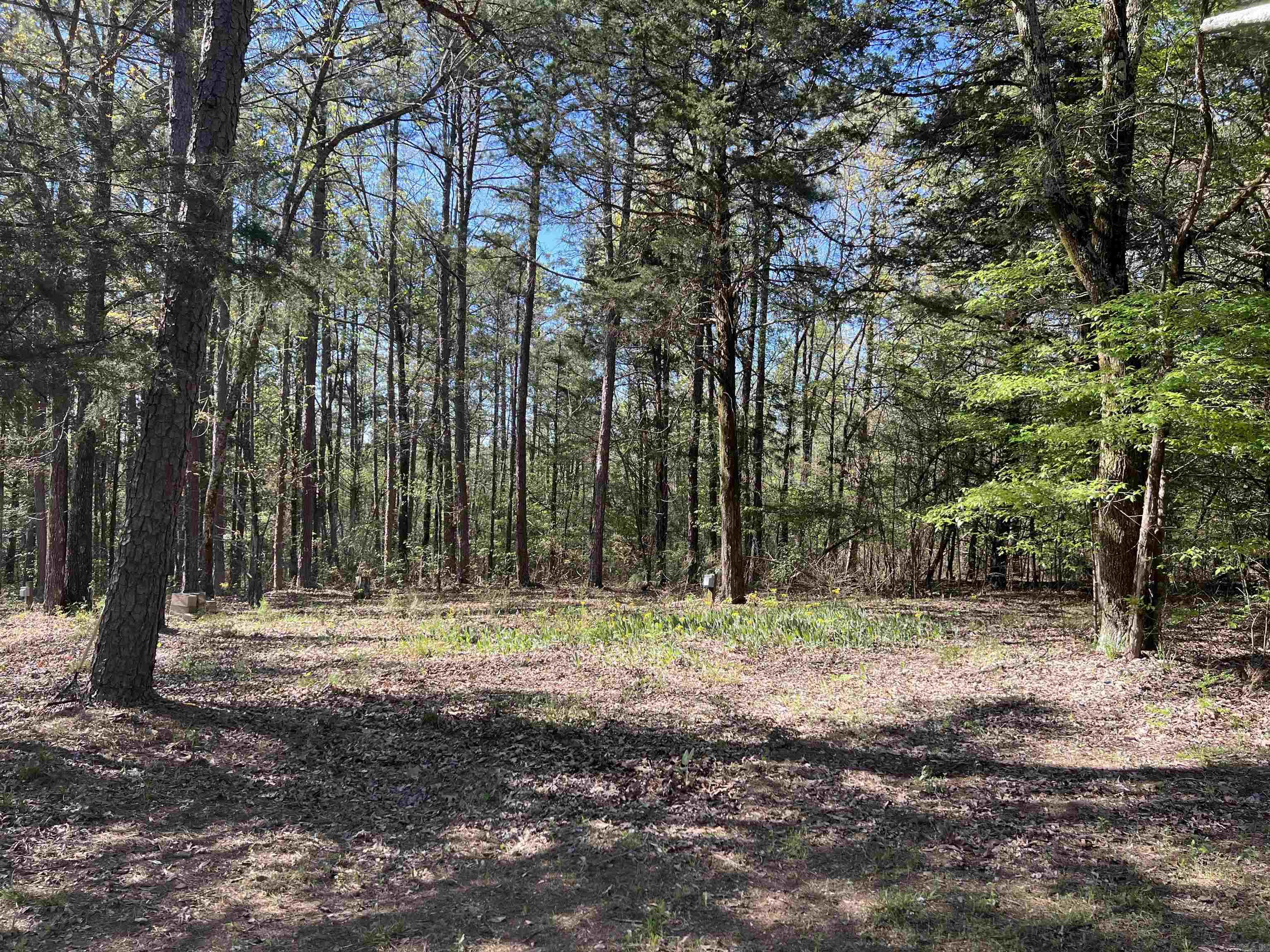 Fox Chase - Residential