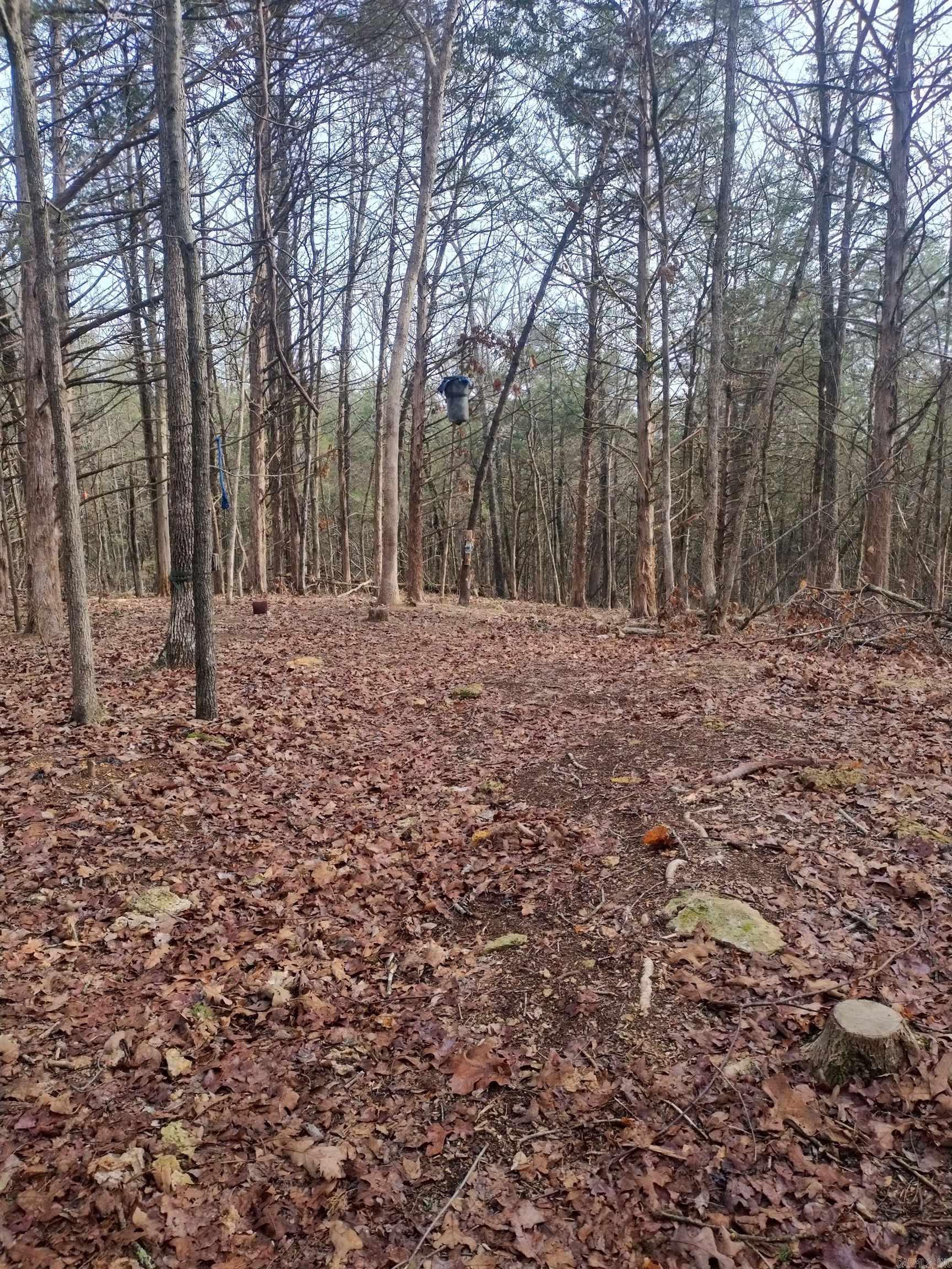 Not in Subdivision - Land