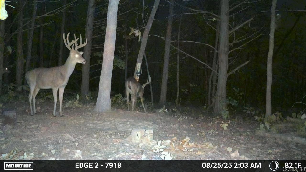 Not in Subdivision - Land