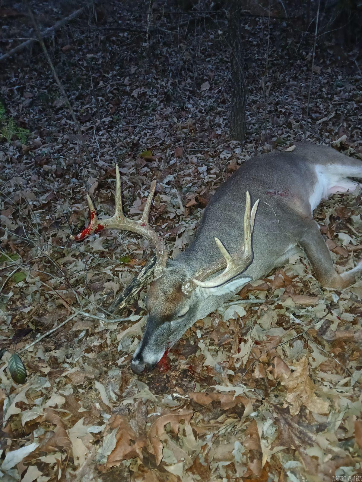 Not in Subdivision - Land