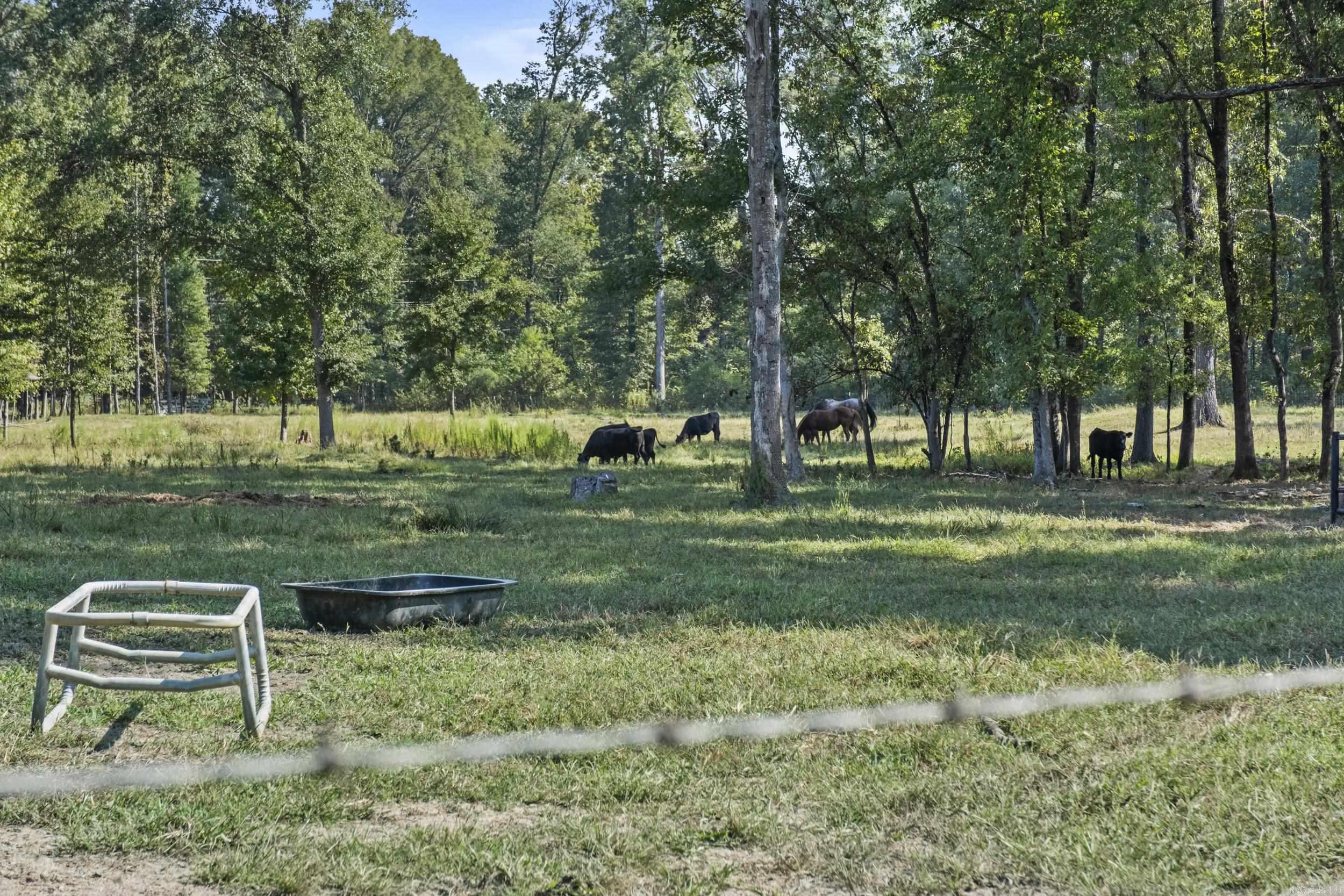 Metes & Bounds - Farm