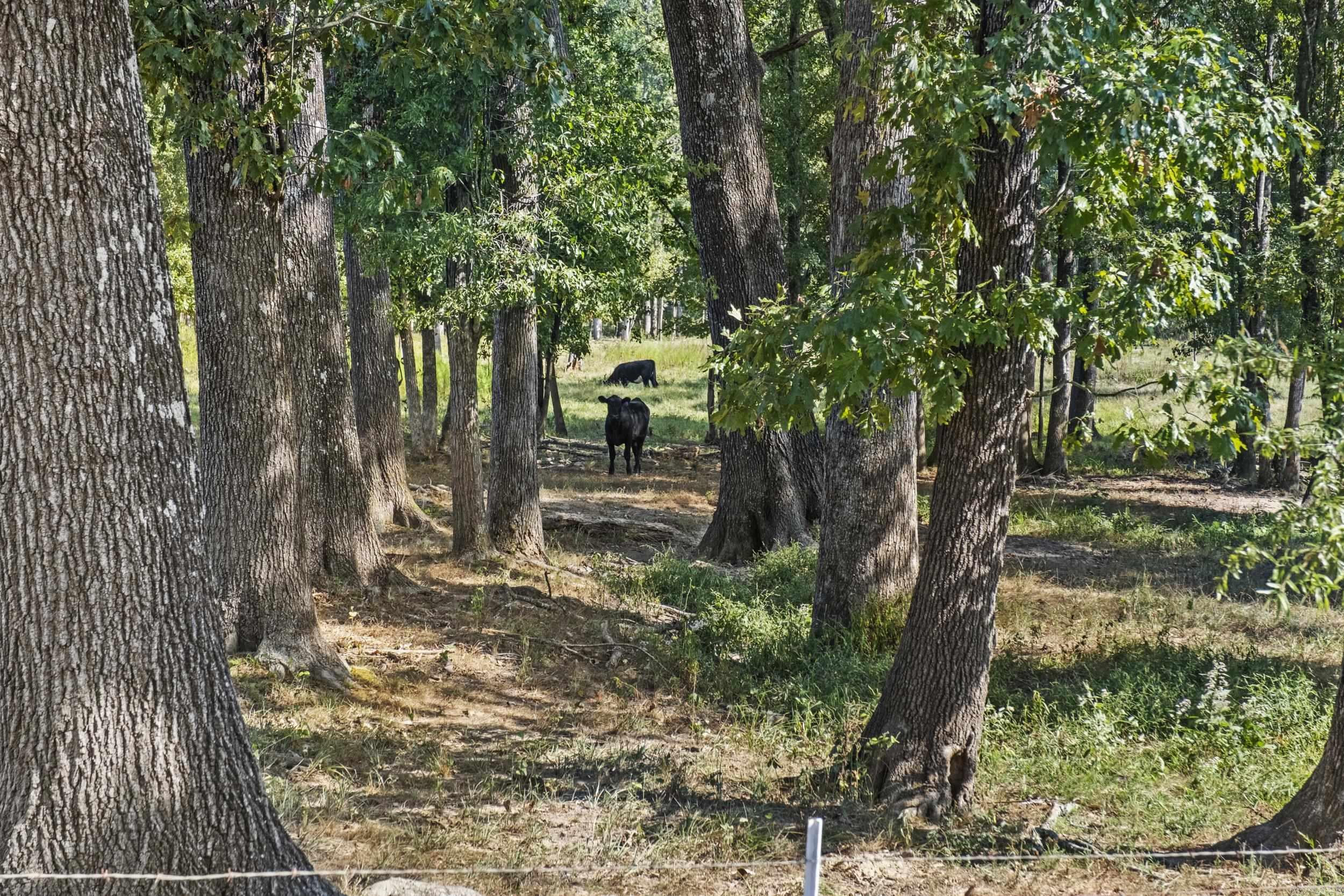 Metes & Bounds - Farm