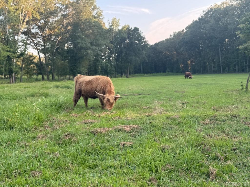 Metes & Bounds - Farm