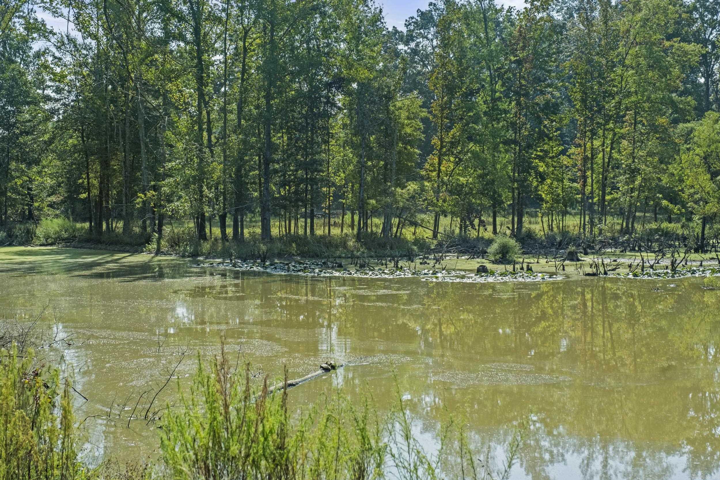 Metes & Bounds - Farm