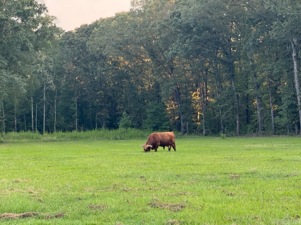 Metes & Bounds - Farm