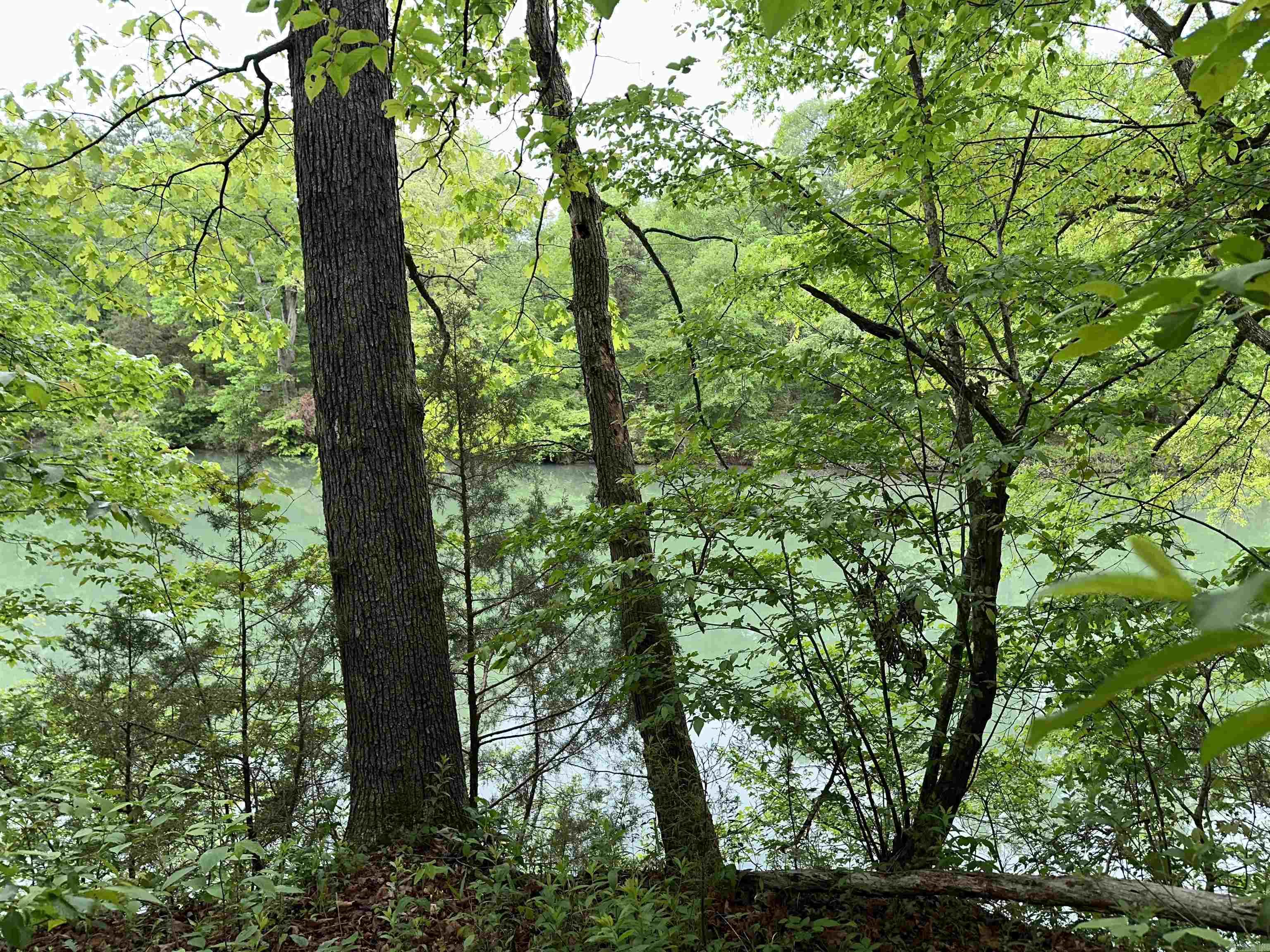 Johnson - Residential