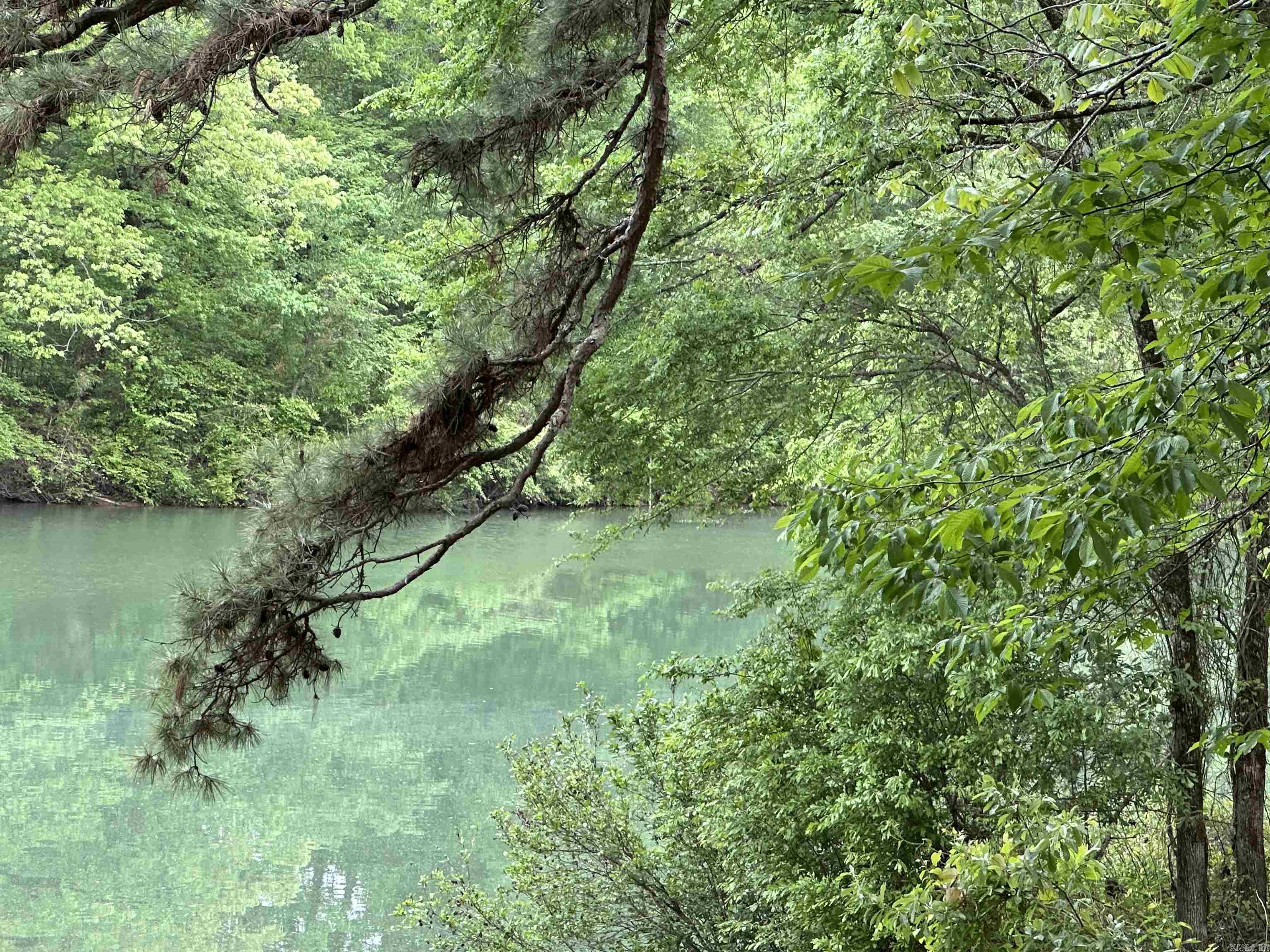 Johnson - Residential