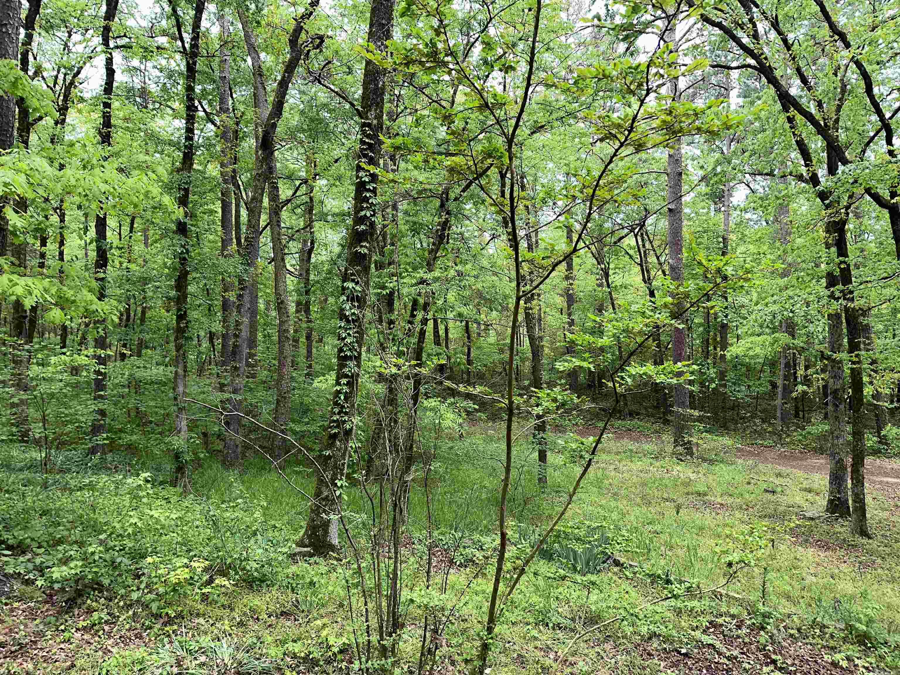 Johnson - Residential