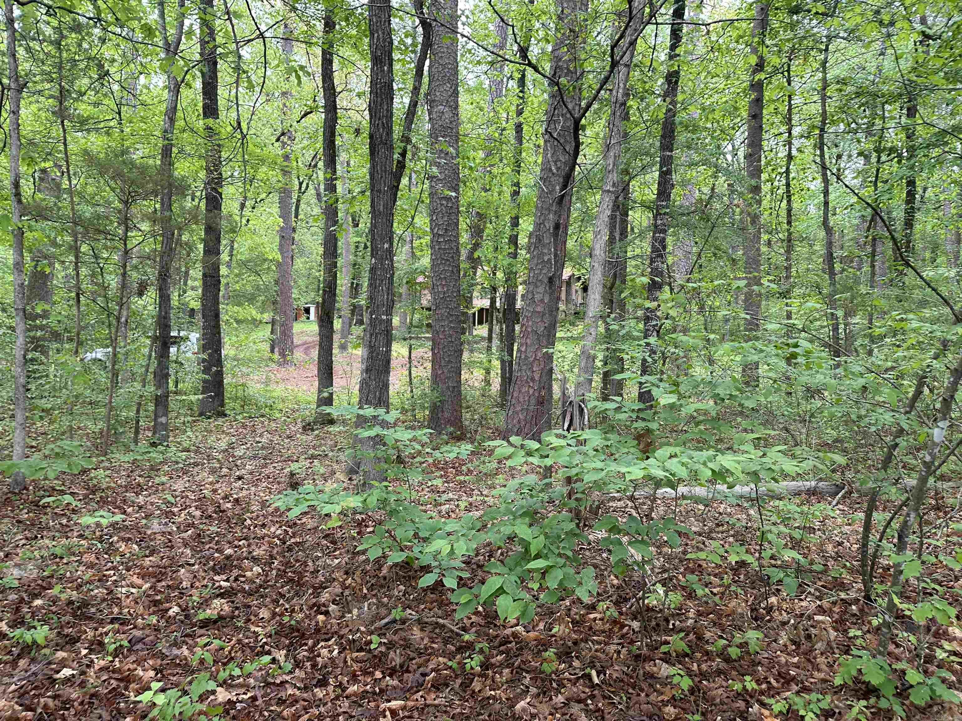 Johnson - Residential