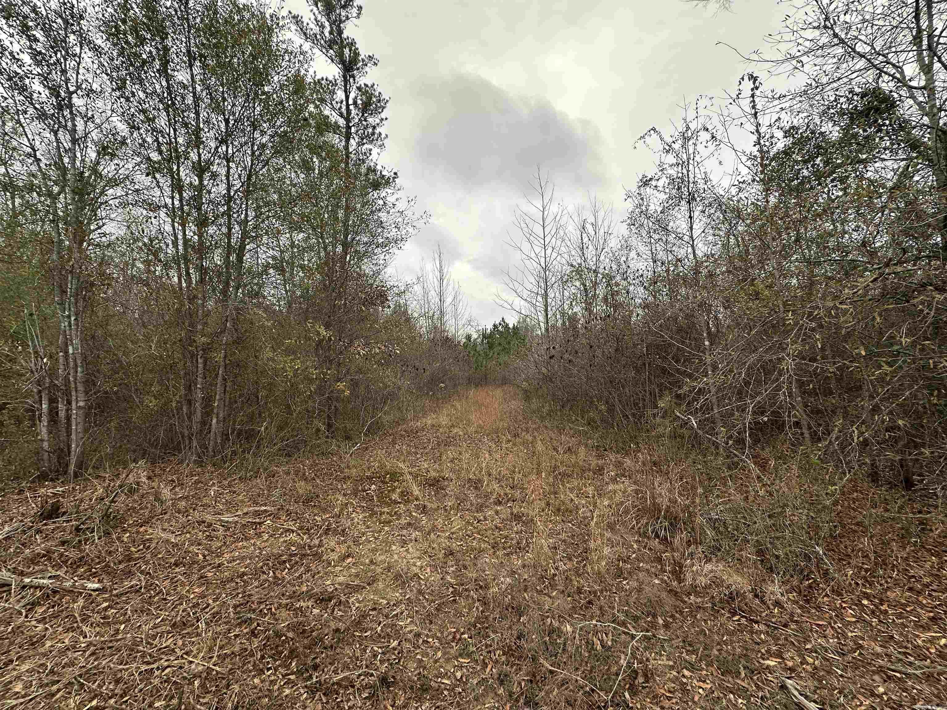 Not in Subdivision - Land