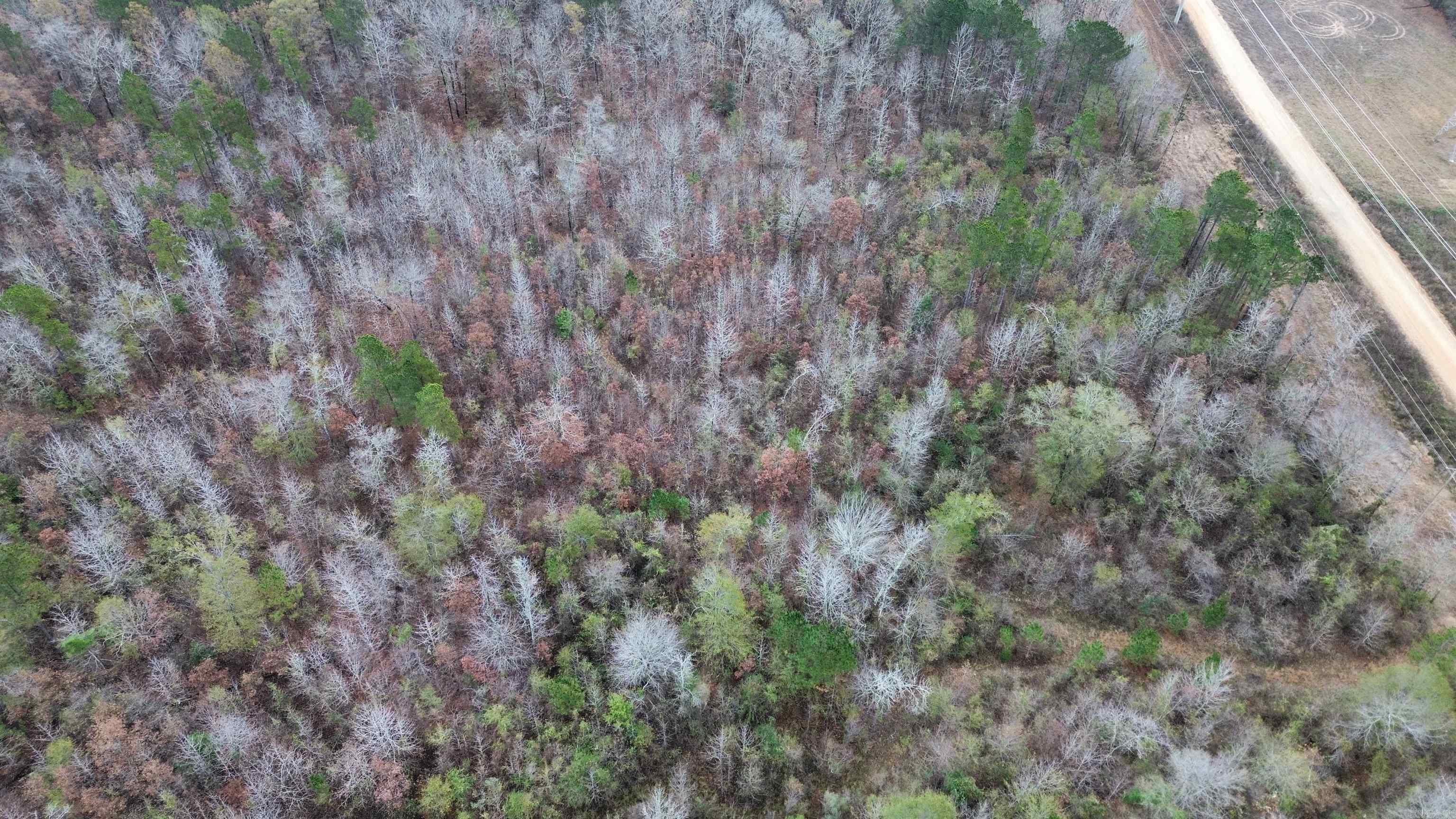 Not in Subdivision - Land