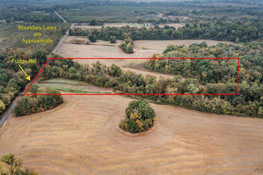 Looking for some private space to build your dream home or run your livestock? This level 8 acres is partially wooded and partially cleared with several potential build sites that would also allow privacy from the road and/or neighbors. Several pasture sites that would allow for livestock. Great opportunity to live in the countryside with close access to Little Rock for restaurants and entertainment. Agents see remarks.