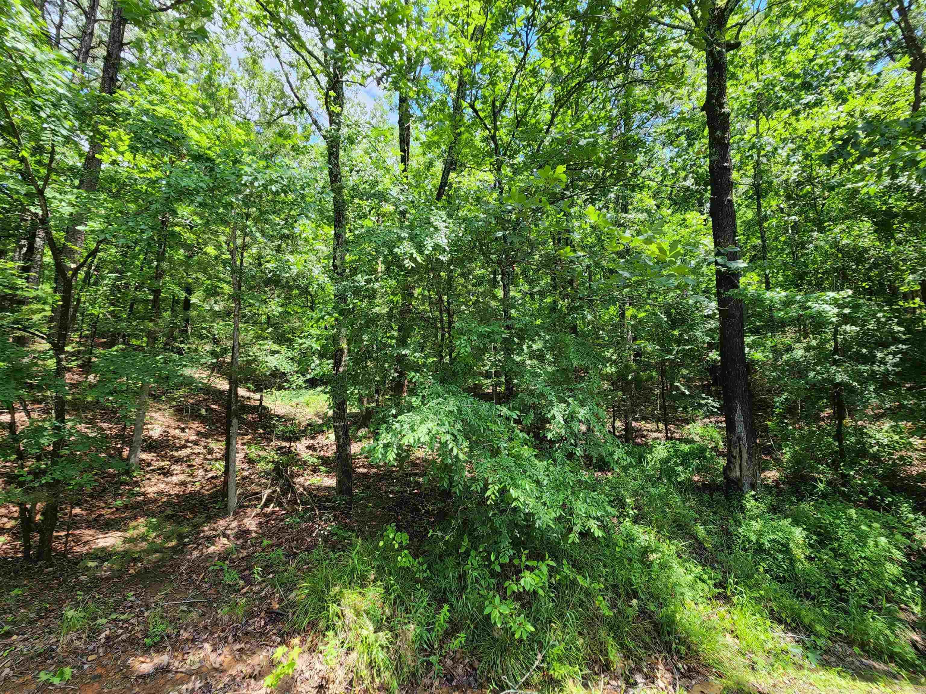 Lakewood Estates - Land