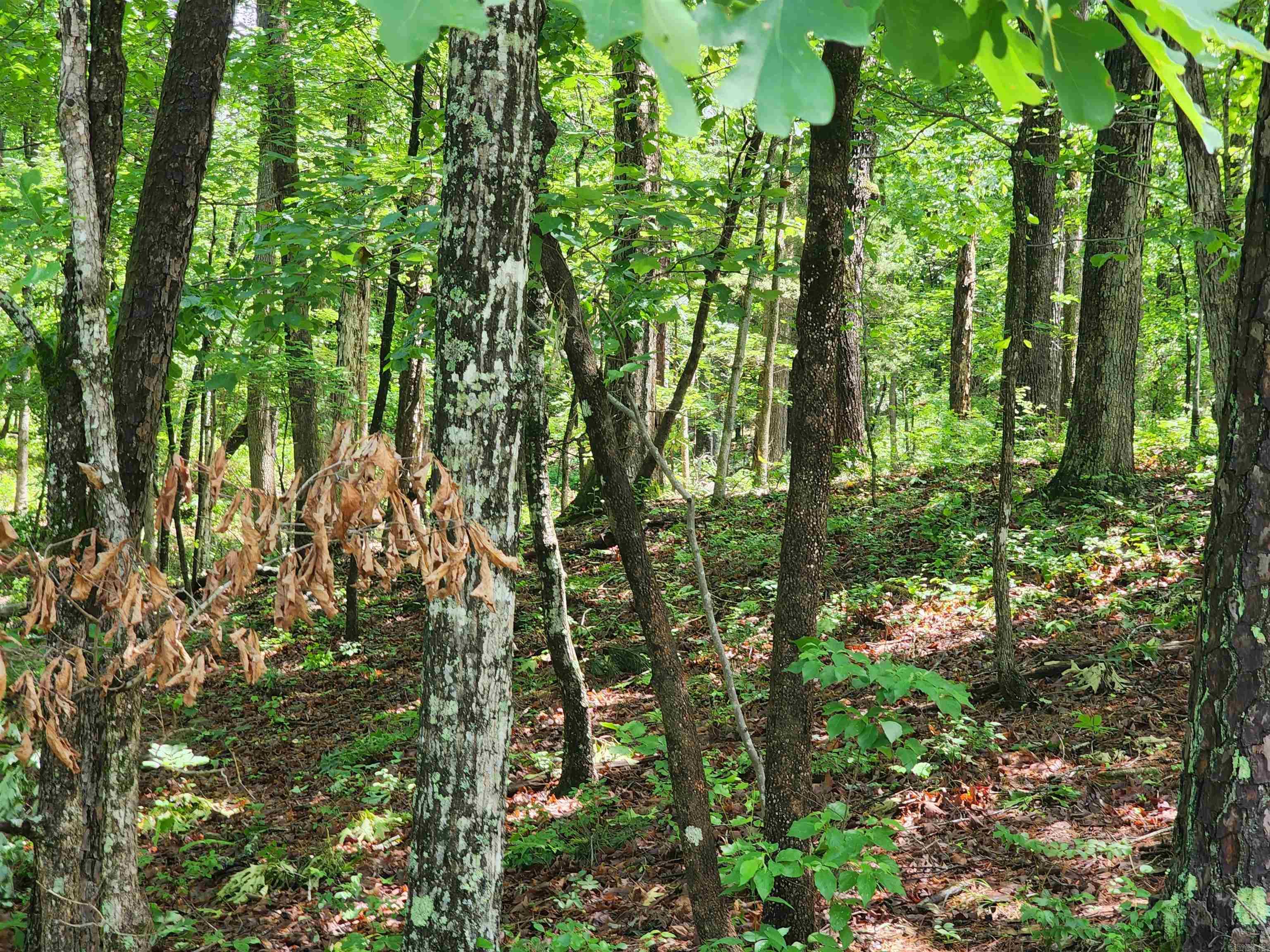 Lakewood Estates - Land