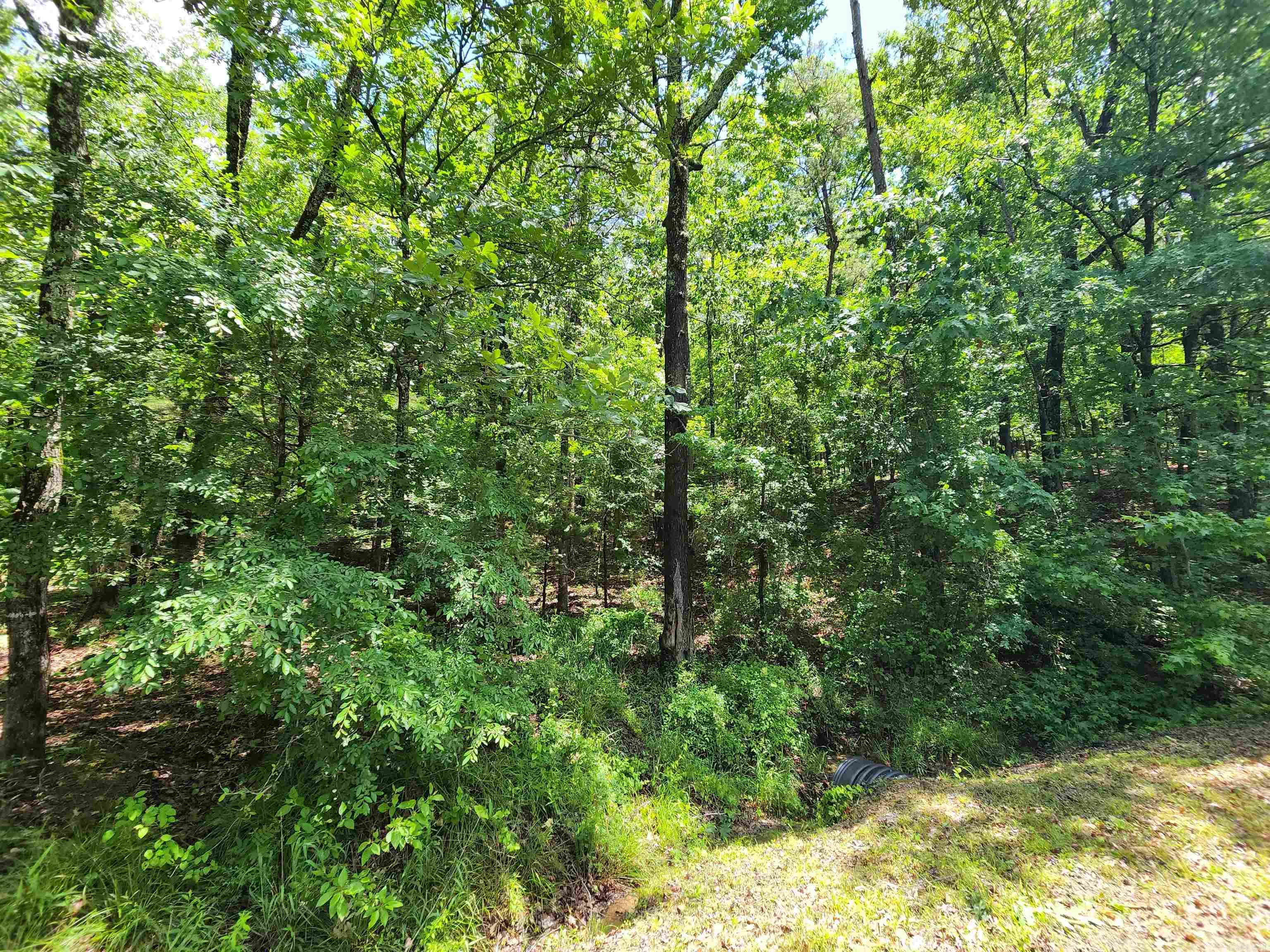 Lakewood Estates - Land