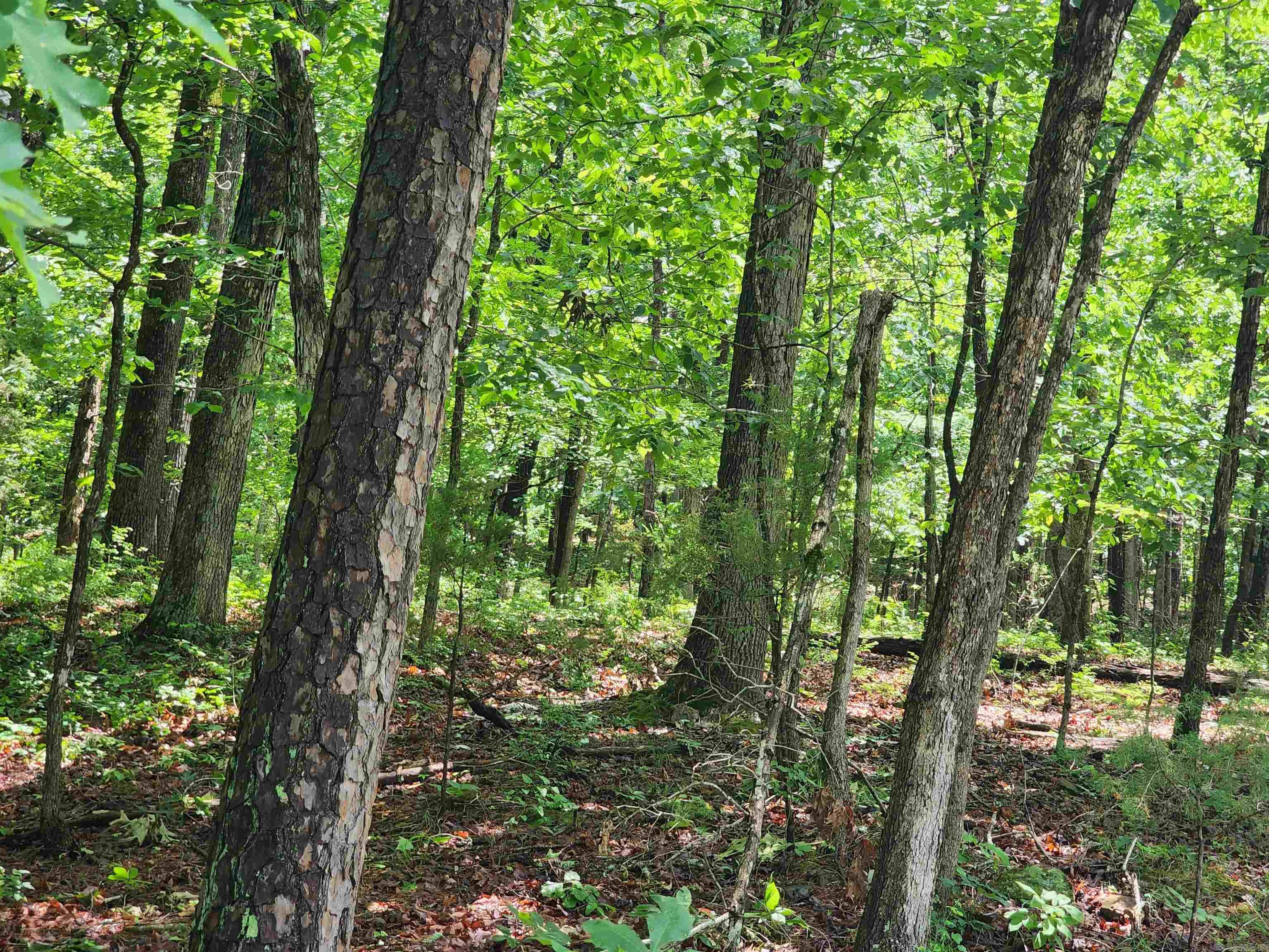 Lakewood Estates - Land