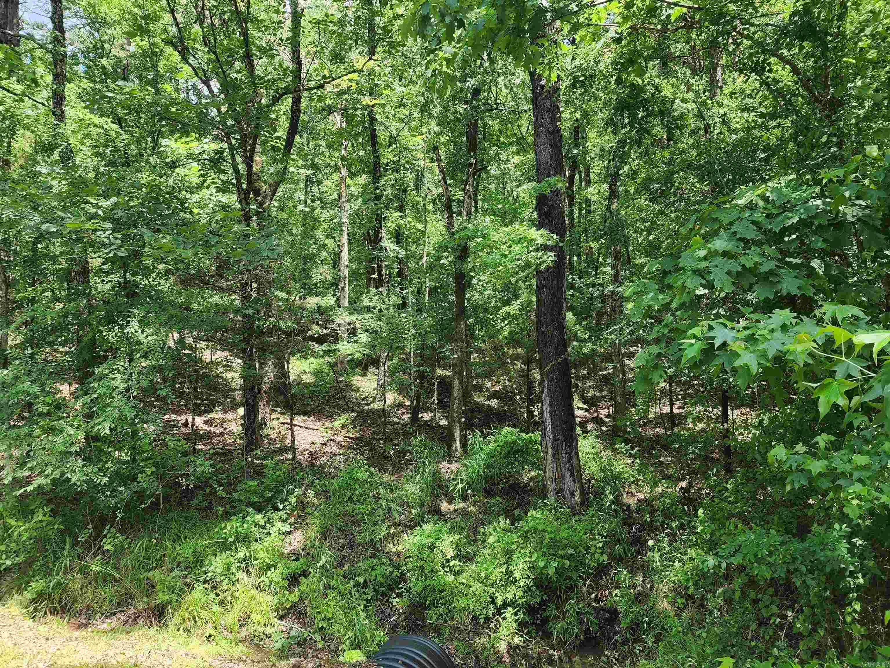 Lakewood Estates - Land