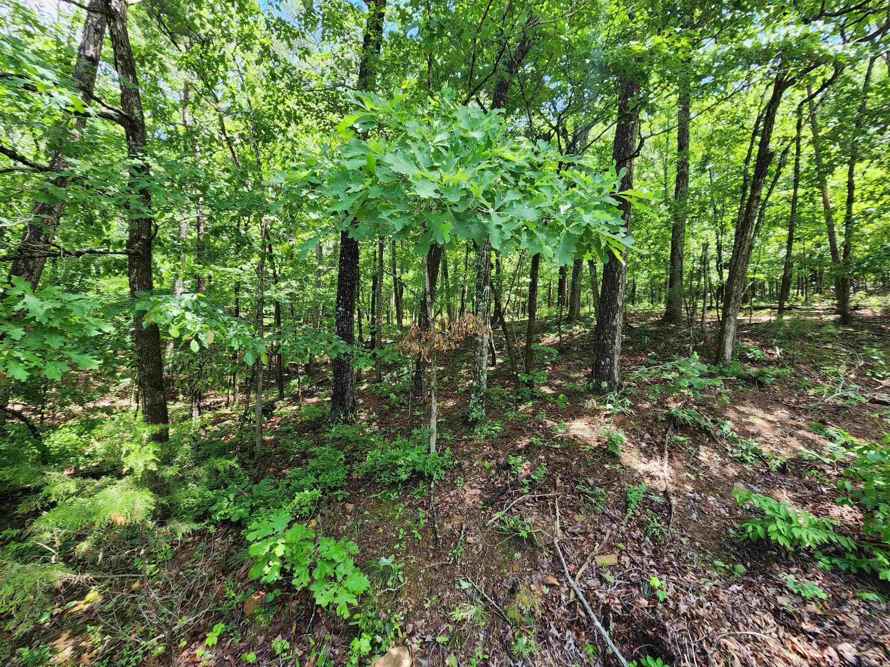 Lakewood Estates - Land