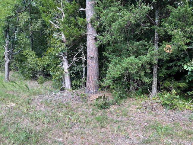 Lipscomb North - Land