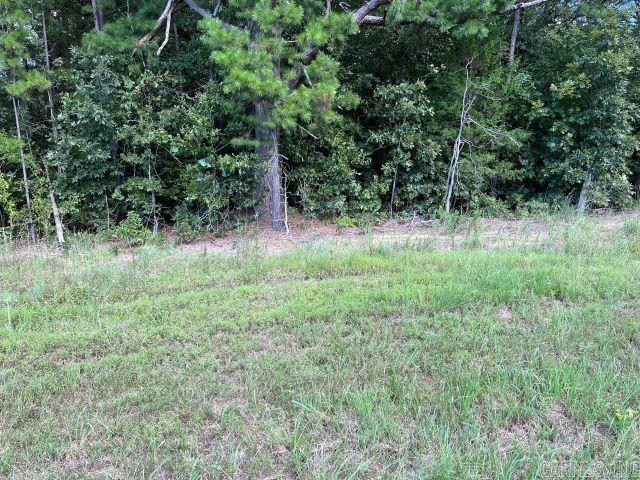 Lipscomb North - Land