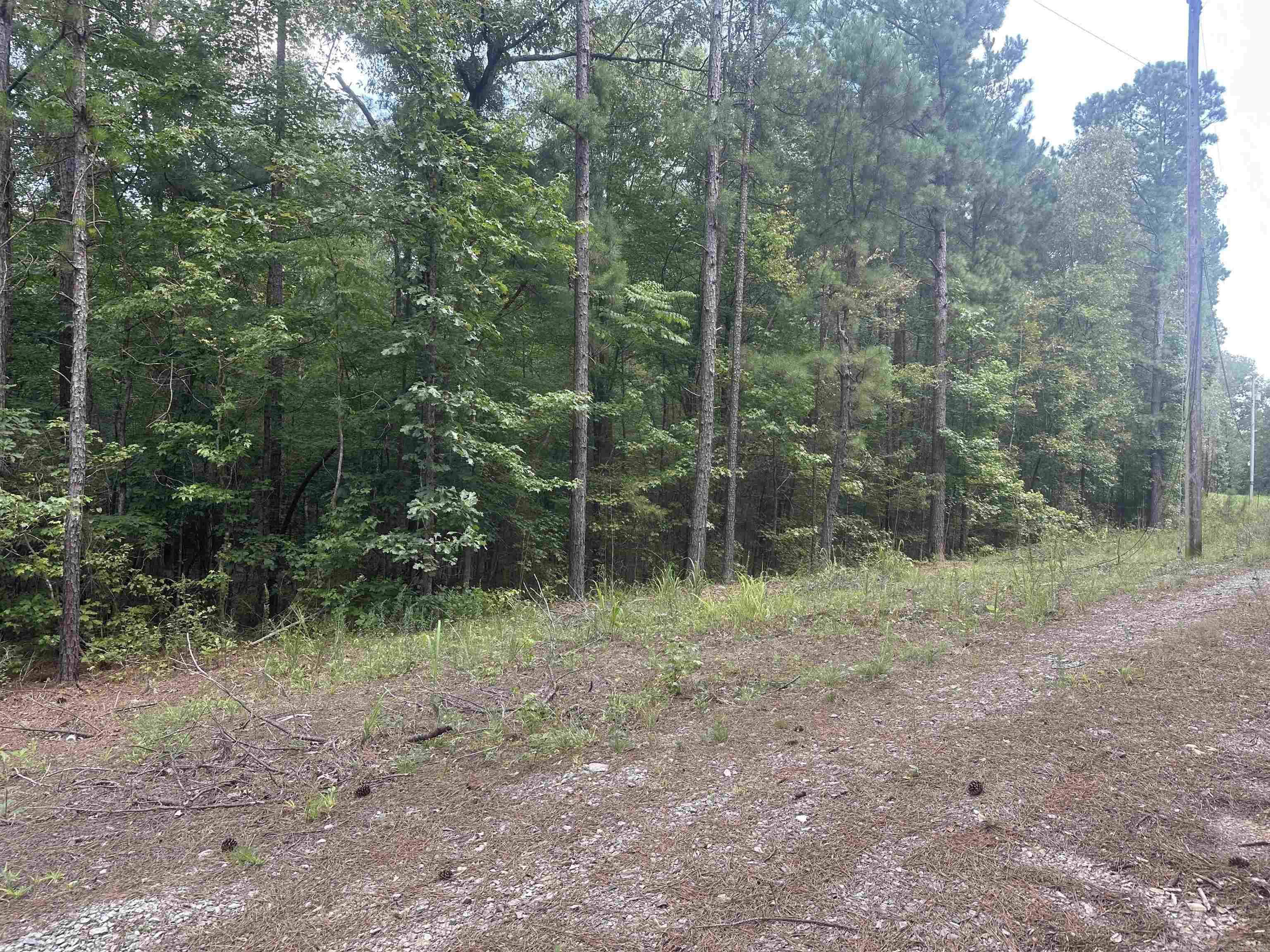 Attention builders/developers, this 25 acres in Saline County consists of 3 different contiguous parcels. Includes parcel #s 001-01540-000, 360-00019-000, & 360-00020-000. Located in Bryant School District. Both 15411 Sweet Gum Dr & 15243 Whipple Dr are reference points to access the property. PROPERTY BEING SOLD AS VACANT LAND. DO NOT ACCESS THE MOBILE HOME ON THE PROPERTY DUE TO CONDITION OF THE HOME. IT IS TO CONVEY AT NO VALUE. NO DISCLOSURES.